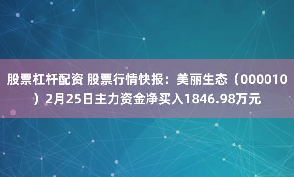 股票杠杆配资 股票行情快报：美丽生态（000010）2月25日主力资金净买入1846.98万元