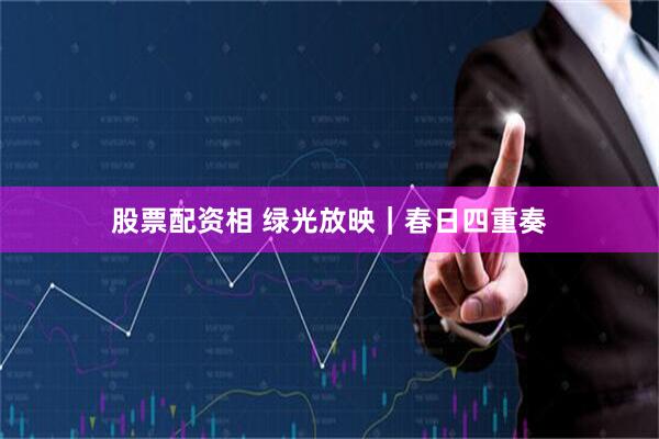 股票配资相 绿光放映｜春日四重奏